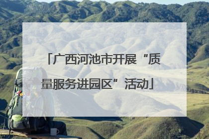 广西河池市开展“质量服务进园区”活动