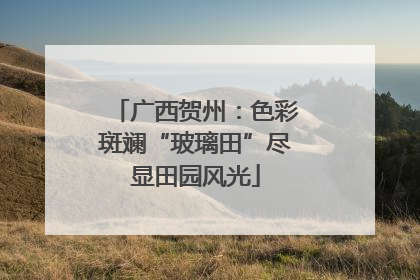 广西贺州：色彩斑斓“玻璃田”尽显田园风光