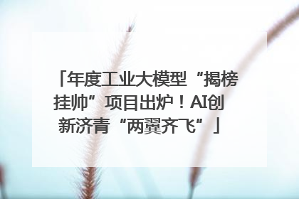 年度工业大模型“揭榜挂帅”项目出炉！AI创新济青“两翼齐飞”
