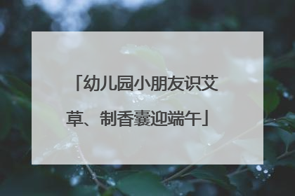 幼儿园小朋友识艾草、制香囊迎端午
