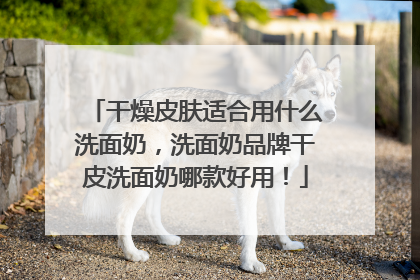 干燥皮肤适合用什么洗面奶，洗面奶品牌干皮洗面奶哪款好用！