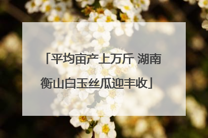 平均亩产上万斤 湖南衡山白玉丝瓜迎丰收