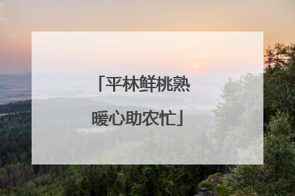 平林鲜桃熟 暖心助农忙