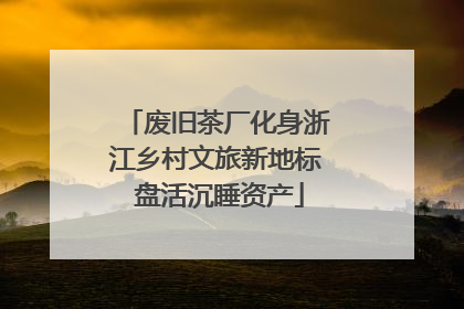 废旧茶厂化身浙江乡村文旅新地标 盘活沉睡资产
