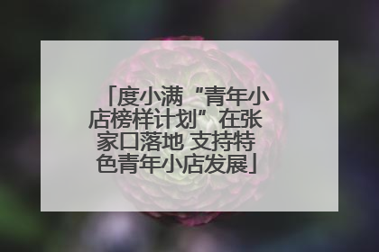 度小满“青年小店榜样计划”在张家口落地 支持特色青年小店发展