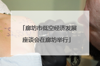 廊坊市低空经济发展座谈会在廊坊举行