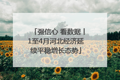 强信心 看数据丨1至4月河北经济延续平稳增长态势