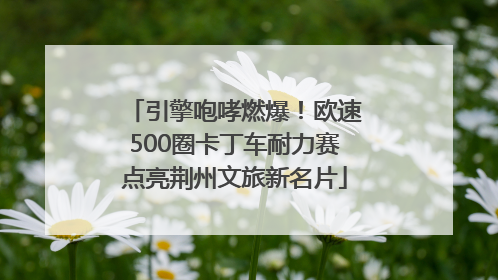 引擎咆哮燃爆！欧速500圈卡丁车耐力赛点亮荆州文旅新名片