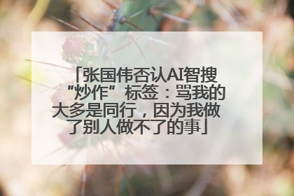 张国伟否认AI智搜“炒作”标签：骂我的大多是同行，因为我做了别人做不了的事