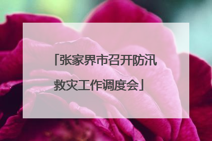 张家界市召开防汛救灾工作调度会