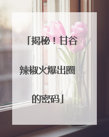 揭秘！甘谷辣椒火爆出圈的密码