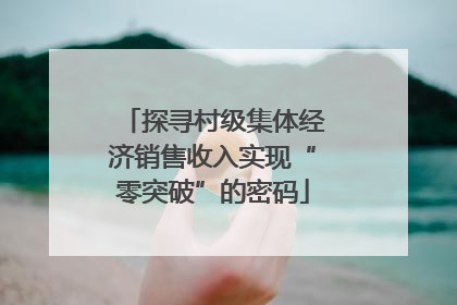 探寻村级集体经济销售收入实现“零突破”的密码