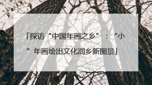 探访“中国年画之乡”：“小”年画绘出文化润乡新图景