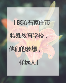 探访石家庄市特殊教育学校：他们的梦想，一样远大