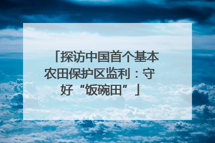 探访中国首个基本农田保护区监利：守好“饭碗田”