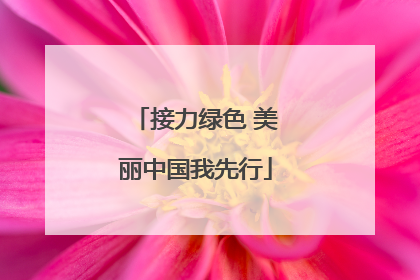 接力绿色 美丽中国我先行