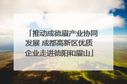 推动成德眉产业协同发展 成都高新区优质企业走进德阳和眉山