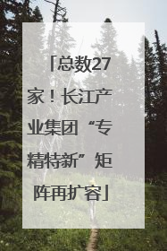 总数27家！长江产业集团“专精特新”矩阵再扩容