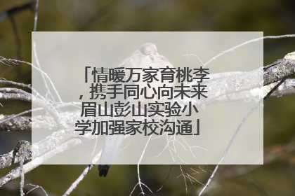 情暖万家育桃李，携手同心向未来 眉山彭山实验小学加强家校沟通