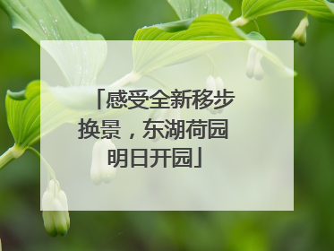 感受全新移步换景，东湖荷园明日开园