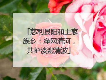 慈利县阳和土家族乡：净网清河，共护溇澧清波
