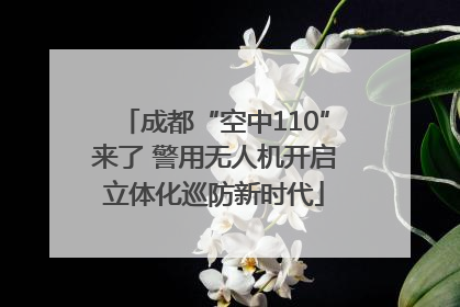 成都“空中110”来了 警用无人机开启立体化巡防新时代