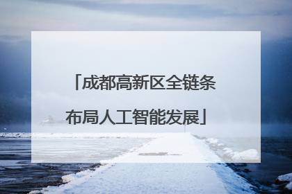 成都高新区全链条布局人工智能发展