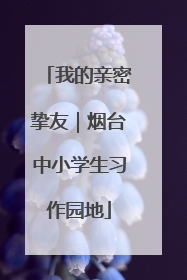 我的亲密挚友｜烟台中小学生习作园地