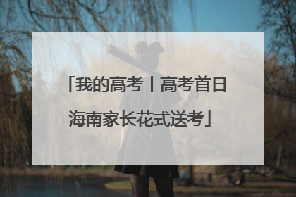 我的高考丨高考首日 海南家长花式送考