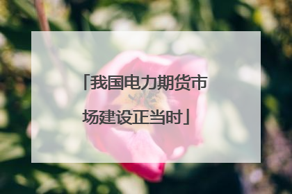 我国电力期货市场建设正当时