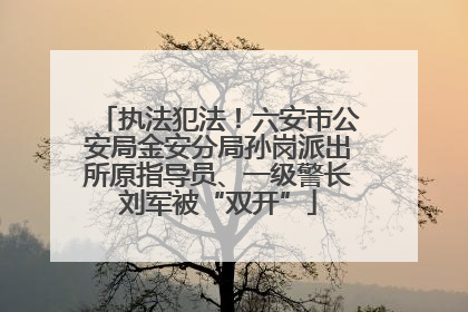 执法犯法！六安市公安局金安分局孙岗派出所原指导员、一级警长刘军被“双开”