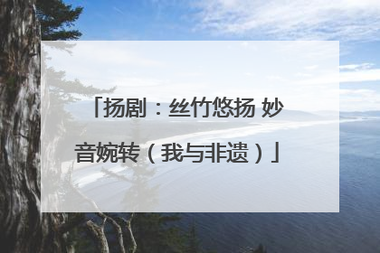 扬剧：丝竹悠扬 妙音婉转（我与非遗）