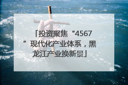 投资聚焦“4567”现代化产业体系，黑龙江产业换新景