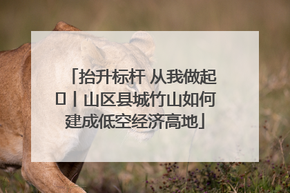 抬升标杆 从我做起⑭丨山区县城竹山如何建成低空经济高地