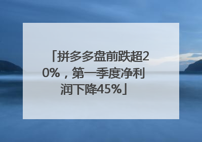 拼多多盘前跌超20%，第一季度净利润下降45%
