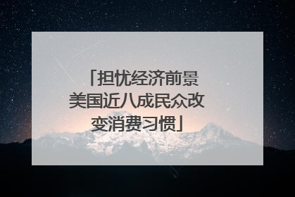 担忧经济前景 美国近八成民众改变消费习惯