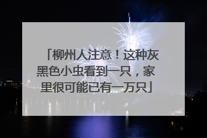 柳州人注意！这种灰黑色小虫看到一只，家里很可能已有一万只