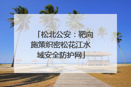 松北公安：靶向施策织密松花江水域安全防护网