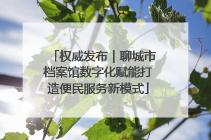 权威发布｜聊城市档案馆数字化赋能打造便民服务新模式