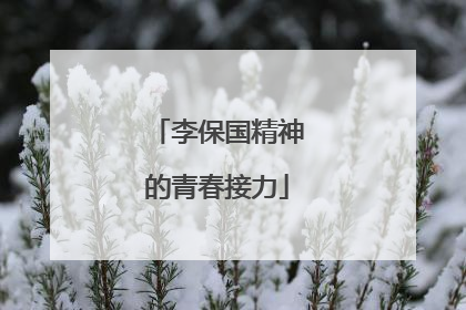李保国精神的青春接力