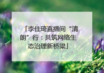 李佳琦直播间“清朗”行：共筑网络生态治理新桥梁
