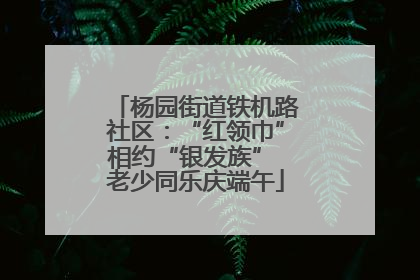 杨园街道铁机路社区：“红领巾”相约“银发族” 老少同乐庆端午