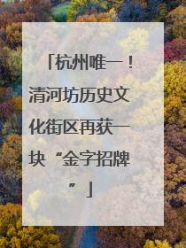 杭州唯一！清河坊历史文化街区再获一块“金字招牌”