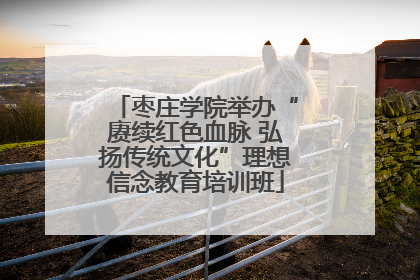 枣庄学院举办“赓续红色血脉 弘扬传统文化”理想信念教育培训班