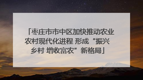 枣庄市市中区加快推动农业农村现代化进程 形成“振兴乡村 增收富农”新格局