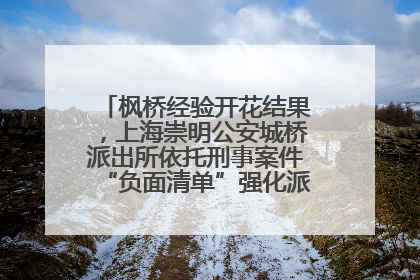 枫桥经验开花结果，上海崇明公安城桥派出所依托刑事案件“负面清单”强化派出所“主防”