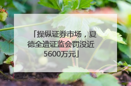 操纵证券市场，夏德全遭证监会罚没近5600万元