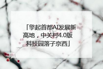 擎起首都AI发展新高地，中关村4.0版科技园落子京西