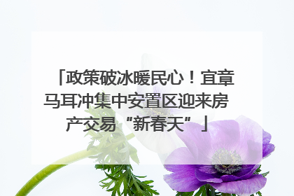 政策破冰暖民心！宜章马耳冲集中安置区迎来房产交易“新春天”