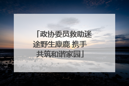 政协委员救助迷途野生麋鹿 携手共筑和谐家园